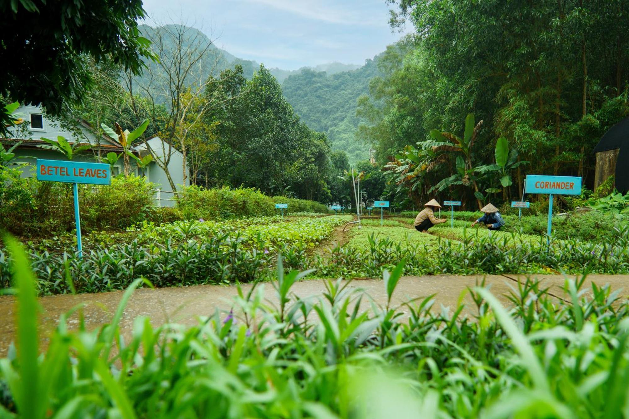 Chay Lap Farmstay Phong Nha Da Lon Kültér fotó