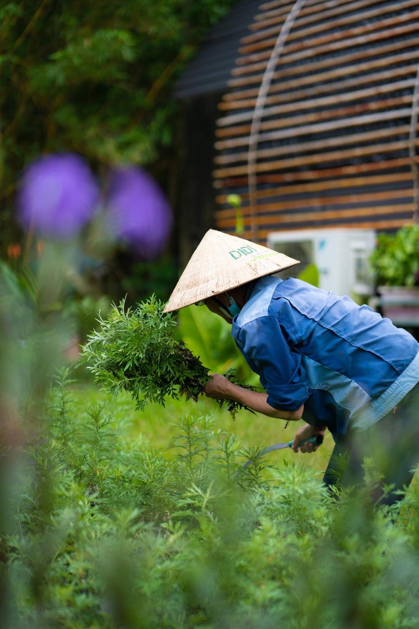 Chay Lap Farmstay Phong Nha Da Lon Kültér fotó