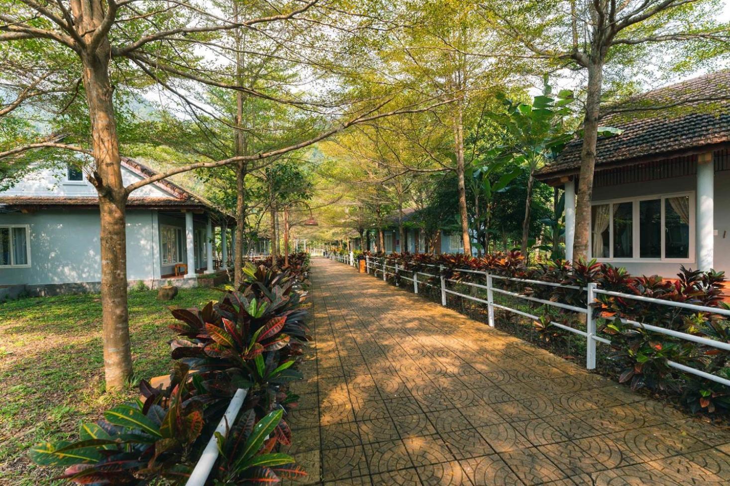 Chay Lap Farmstay Phong Nha Da Lon Kültér fotó